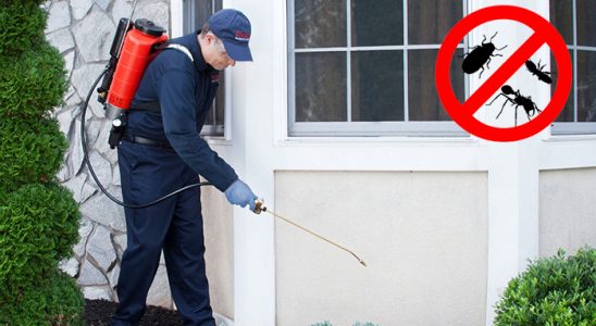 Gemerek Kene İlaçlama böcek ilaçlama ve haşere kontrolü — ilaclama-tr.com